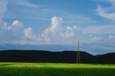 Scenic view of field against sky