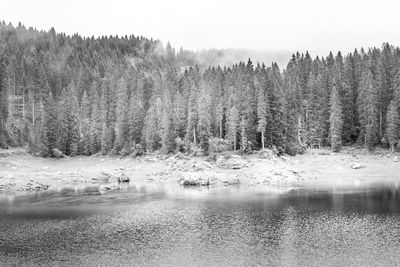 Scenic view of lake in forest against clear sky