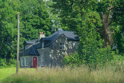 House amidst trees and plants in forest