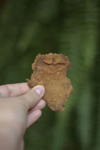 Close-up of hand holding cookies