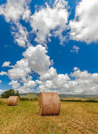 Round bales harvesting in golden field landscape, south sardinia