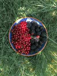 High angle view of strawberries in bowl on field