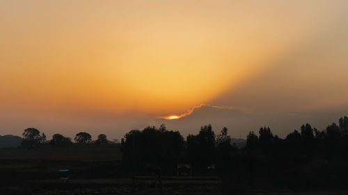 Silhouette trees against sky during sunset