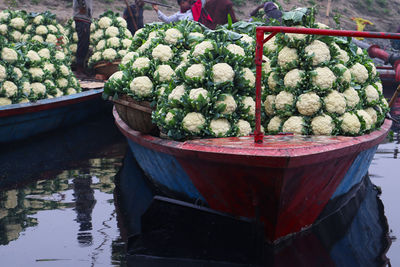 High angle view of vegetables for sale at market stall