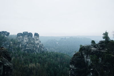 Scenic view of forest against clear sky