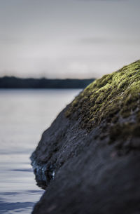 Close-up of rock by sea against sky