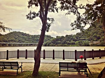 Rear view of man sitting on bench against lake by trees 