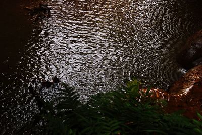 High angle view of raindrops on lake