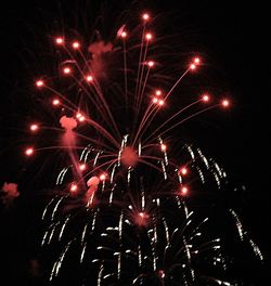 Low angle view of firework display at night