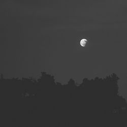 Low angle view of silhouette trees against clear sky at night