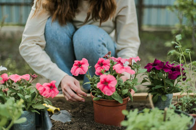 Midsection of woman holding flowers