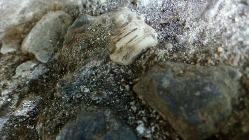 High angle view of rocks in water