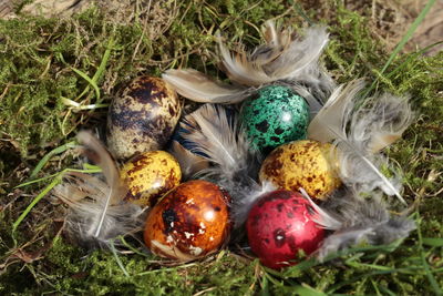 High angle view of easter eggs in nest