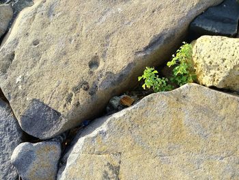 Rocks on shore