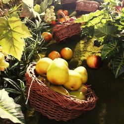 Close-up of apples in basket