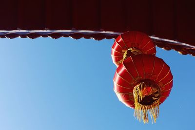 Low angle view of chinese lantern against clear sky on sunny day