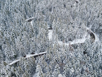 High angle view of icicles on snow covered land