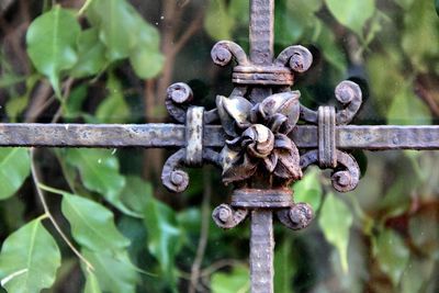 Close-up of rusty metal fence