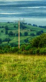 Scenic view of grassy field against sky