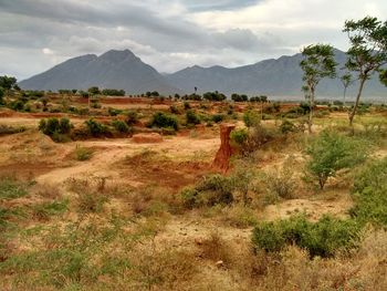 Scenic view of field and mountains against sky