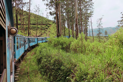 View of train passing through forest