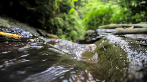 Close-up of stream flowing in forest