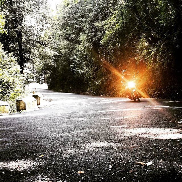 the way forward, transportation, road, tree, diminishing perspective, street, vanishing point, land vehicle, empty road, country road, road marking, car, sunlight, nature, mode of transport, outdoors, asphalt, no people, empty, tranquility