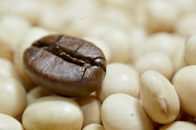 High angle view of eggs in container