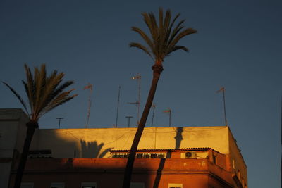 Low angle view of palm tree and building against sky