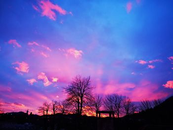 Low angle view of silhouette trees against sky during sunset