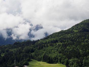 Scenic view of forest against sky