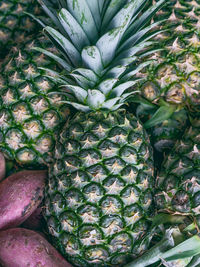 ananas