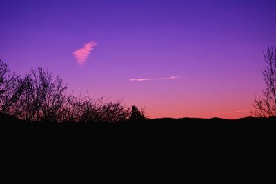 Silhouette trees against sky during sunset