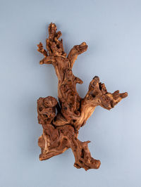 wood