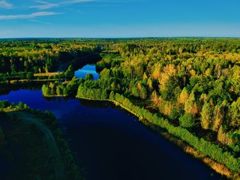 Scenic view of lake and trees against sky