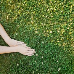 Cropped hands of woman on grassy field