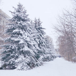 snow