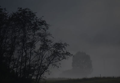 Silhouette trees on grassy field against sky in foggy weather