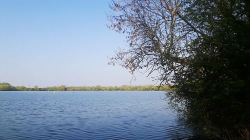 Scenic view of lake against clear sky