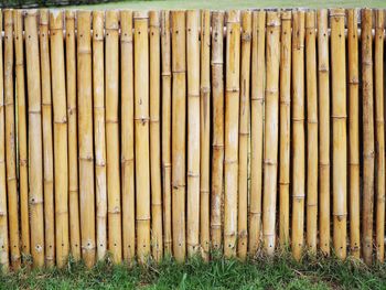 Full frame shot of bamboo on field