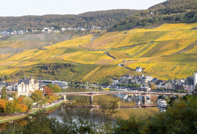 Scenic view at bernkastel-kues and the river moselle valley in autumn with multi colored landscape