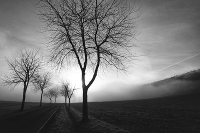 Bare tree on field against sky during foggy weather