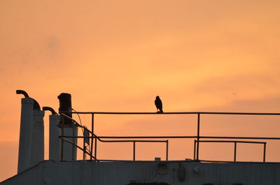Silhouette birds perching on railing against orange sky