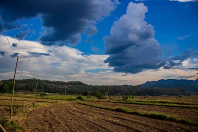 Scenic view of agricultural field against sky