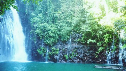 Scenic view of waterfall in forest