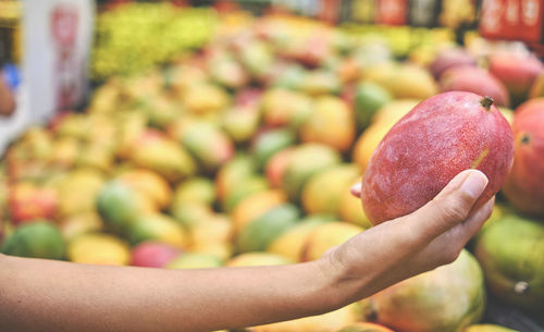 Close-up of hand holding fruits for sale at market stall