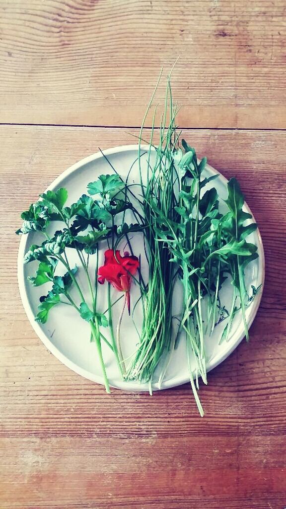 table, indoors, freshness, still life, food and drink, leaf, wood - material, high angle view, directly above, food, green color, close-up, healthy eating, wooden, plate, no people, decoration, vegetable, potted plant, bowl