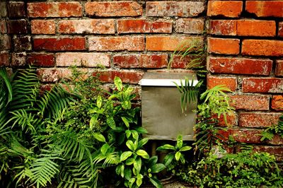 Plants against brick wall