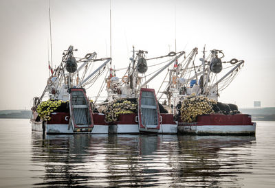 Cranes at harbor against sky