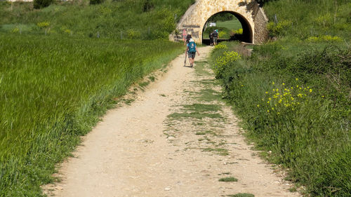 Rear view of people walking on dirt road